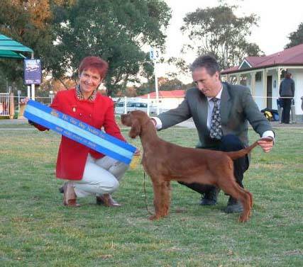 winx gundog club