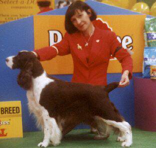 Best of Breed Adelaide Royal 2000