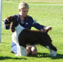 Ch Fraelighte Play Th Field